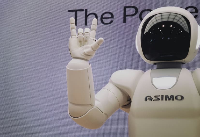 Humanoid Robot